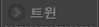 트윈