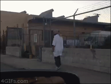 11.gif