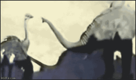 b13.gif