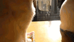 지우개좀... 아오 씹냐.gif